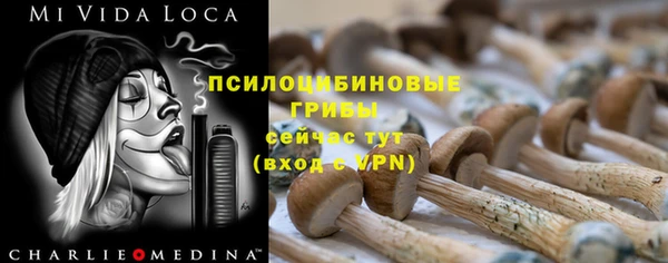 гидра Гусев