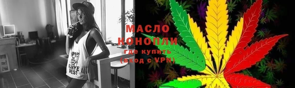 гидра Гусев