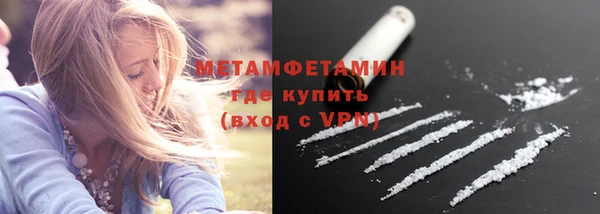 гидра Гусев