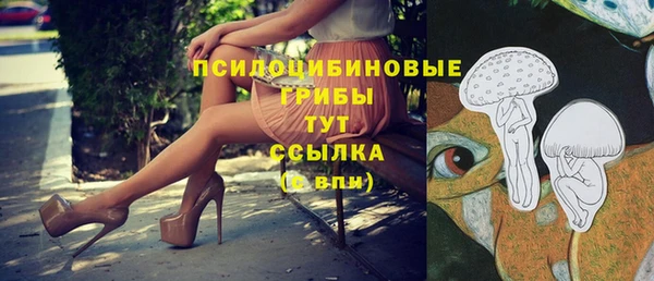 гидра Гусев