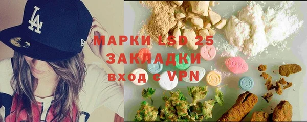 гидра Гусев