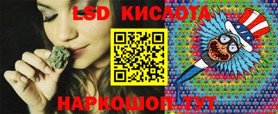 кокс Донской