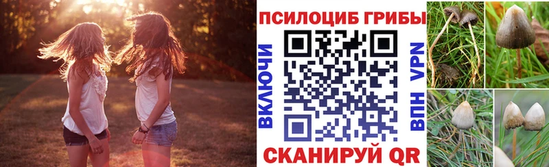 купить цена Мценск гидра зеркало Галлюциногенные грибы ЛСД