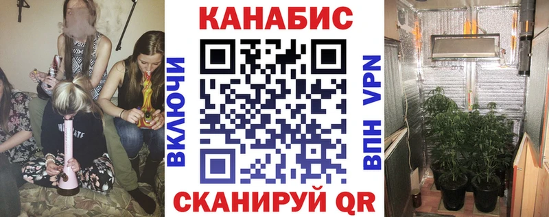 Каннабис план  кракен tor  Мценск  купить наркотики цена 